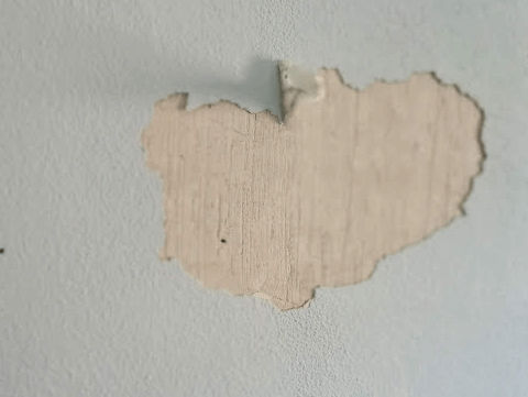 reparar-pared-descorchada